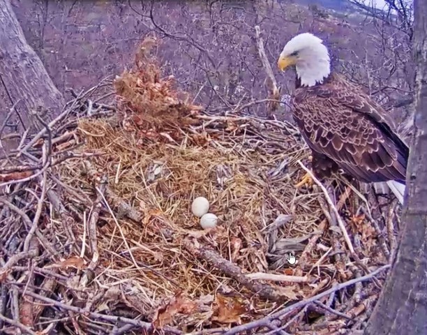 2-25-26-3.jpg.b64796cfa2542d296f5b1b6123