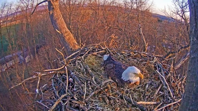 2-27-16.thumb.jpg.a1b03fc45a39745abce14f