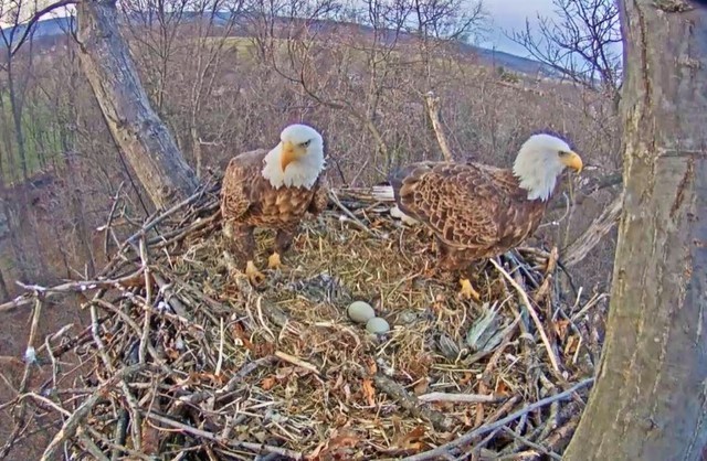 2-27-17.jpg.79a99a8b59f138846a09eb44dc1e