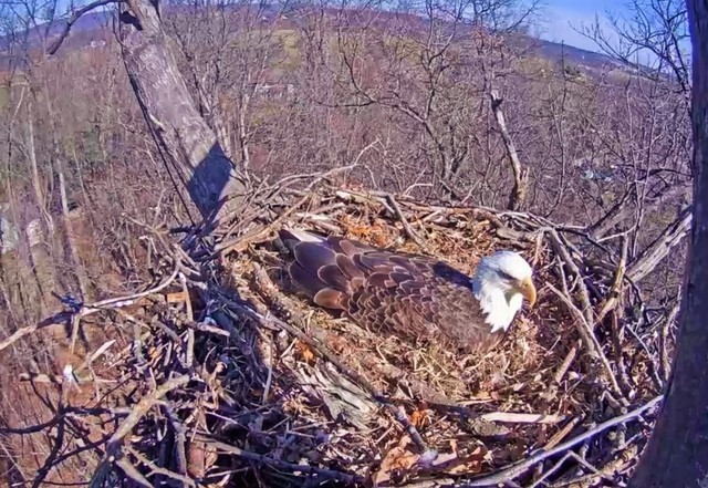 2-28-16-3.thumb.jpg.345496c85ff515dca7ad