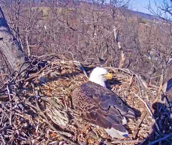 2-28-16-4.jpg.10d5551640bd4873960d918685