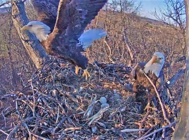 2-28-16-5.jpg.de8670536fe4b68be2c6c561fd