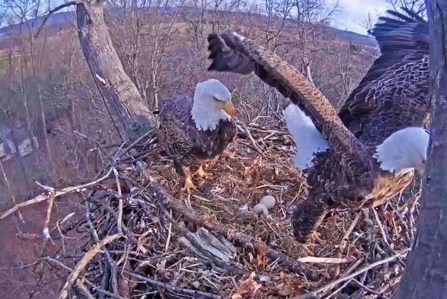 2-28-16.thumb.jpg.79a65372bcec53b7a28869