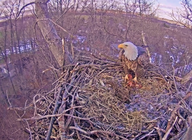 2-5-16-2.thumb.jpg.f639161c6a1f5b3d47e01