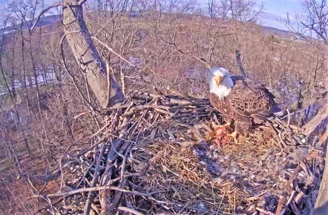 2-5-16.thumb.jpg.bb5c483dd05a95b881d2978