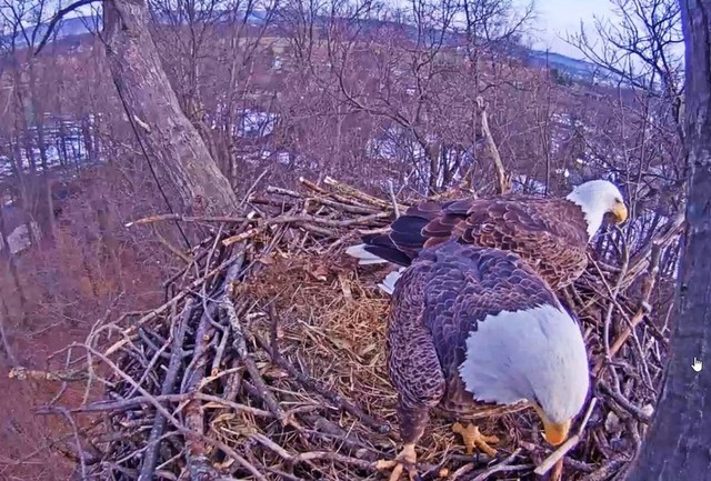 2-6-16-2.thumb.jpg.1d80e01f2cbbb091a7146