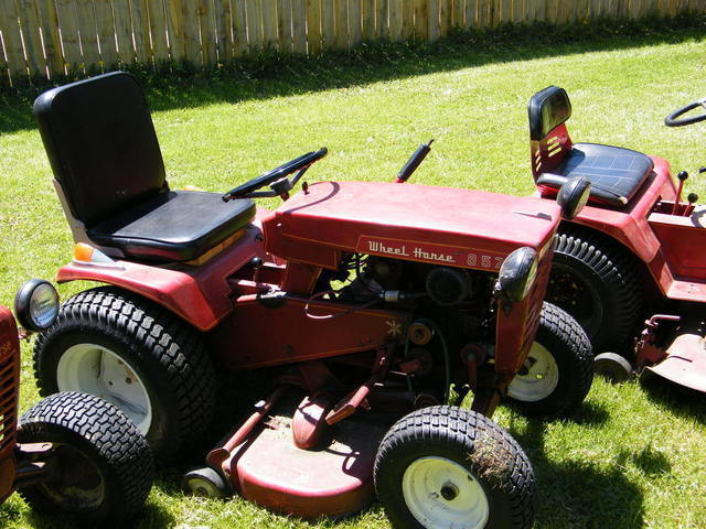 2010_0518HorsesMay0004.thumb.JPG.b5a079b