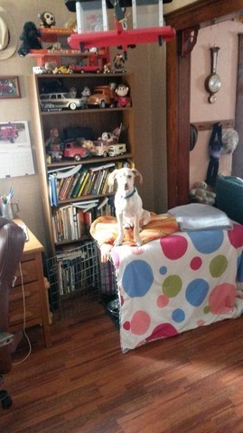 20160213_090313.thumb.jpg.08b22f90743acc