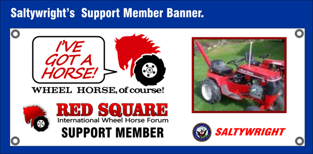 saltywright's banner.png