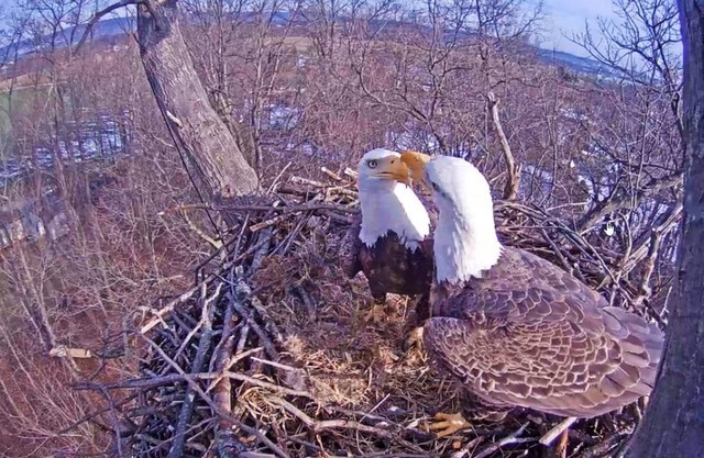 56b5ff8c472b5_2-6-16-3(2).thumb.jpg.7e05