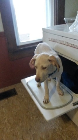 56b6374dc94e1_bryantdryer.thumb.jpg.6533