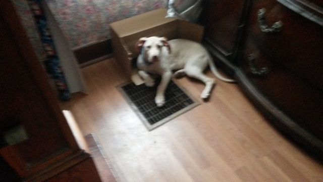 56b637d6d74ef_bryantregoster.thumb.jpg.d