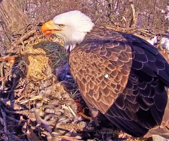 56c0aefd18f35_2-14-16-2(2).jpg.acc4db1cb