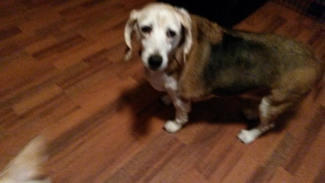 56c0dacb55985_MollieBryant002.thumb.jpg.