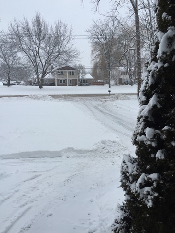 56c357a130035_snow2016.thumb.JPG.c7294a0