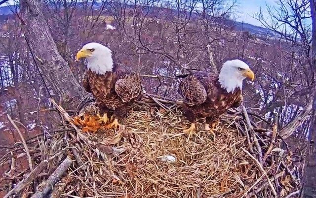 56c88bd705e4e_2-20-16(2).jpg.d90b116f3e5