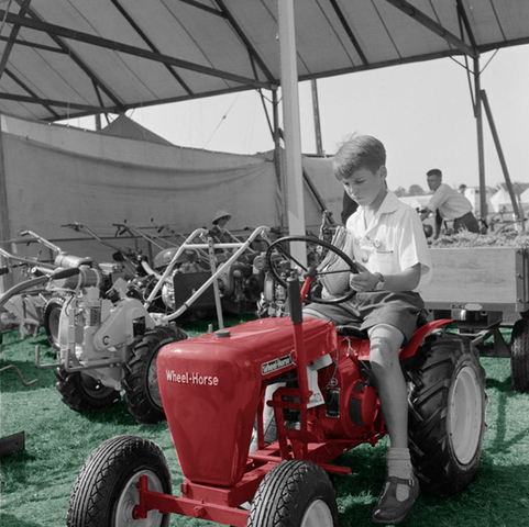 wheelhorse in color.jpg