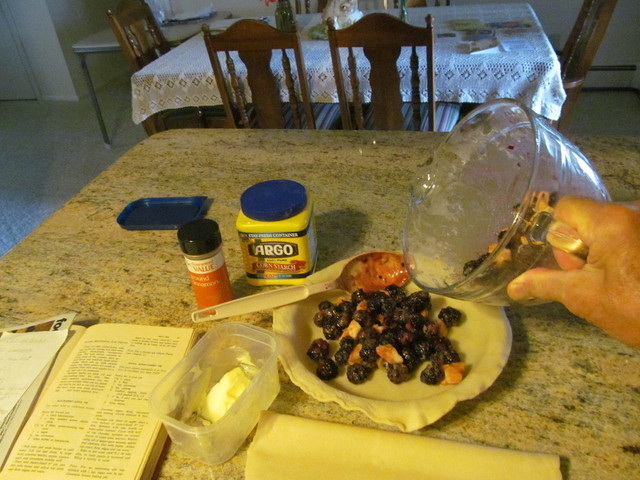 IMG_3305.thumb.JPG.9489c98fb45d484aa0382