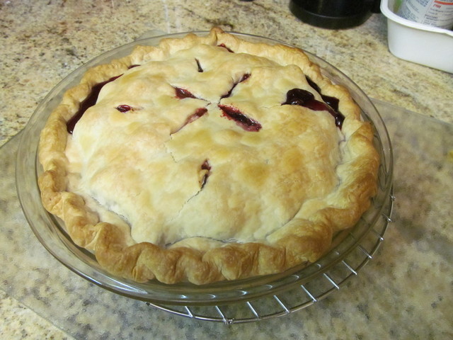 IMG_3306.thumb.JPG.e94ef67c7fc98f3421eea