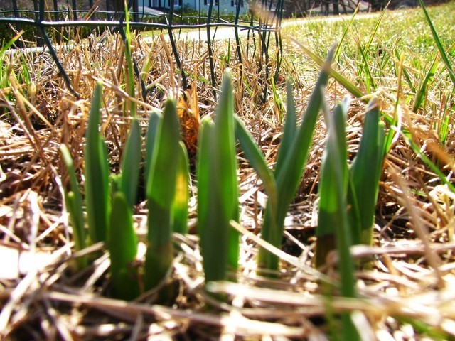 IMG_4998.thumb.JPG.1f65f26cf3d5d1df6717b