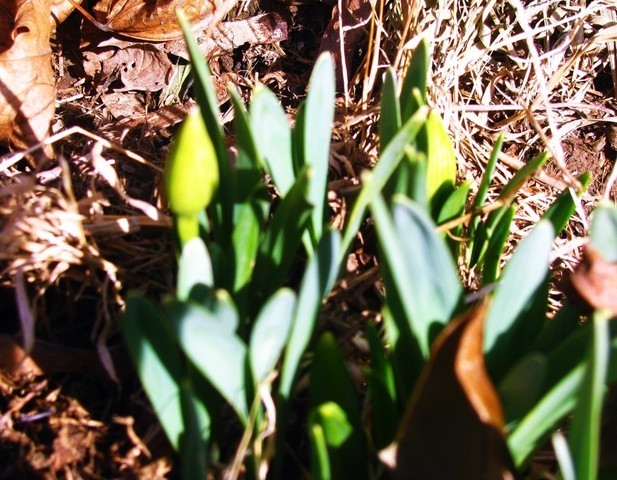 IMG_4999.thumb.JPG.eb7ac4f6e26fff1cdf5ef