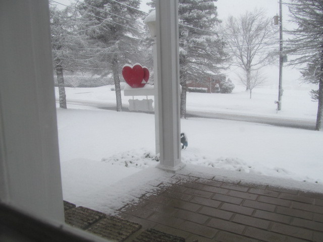 IMG_5457.JPG.4d3db64119e5c3d9b3b83c3c080