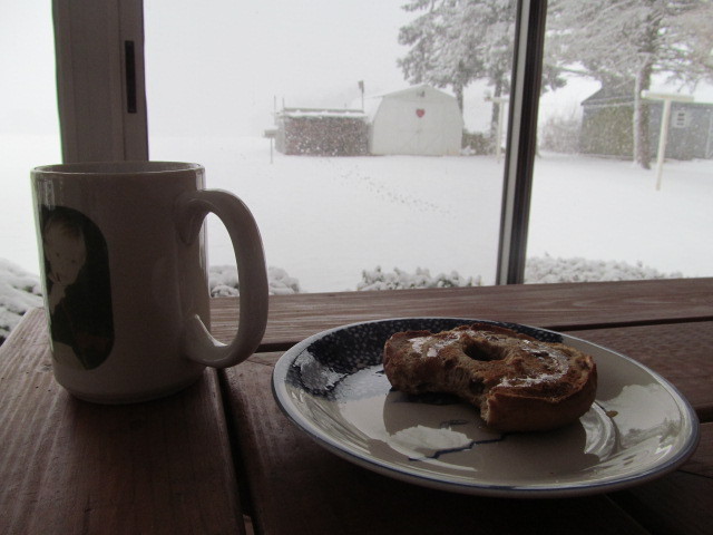 IMG_5459.JPG.1aa108d9e187161b251b9bb2f90