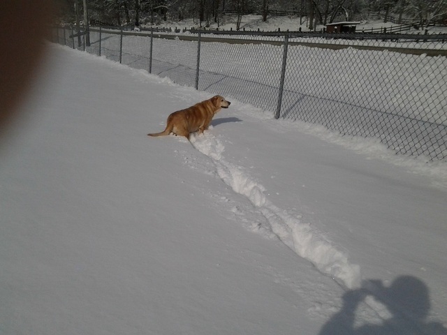 image.thumb.jpg.8d94dd8a62ba1b74139d7c74