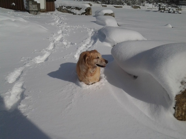 image.thumb.jpg.ff3b91c02f0fd45e118f6ec1