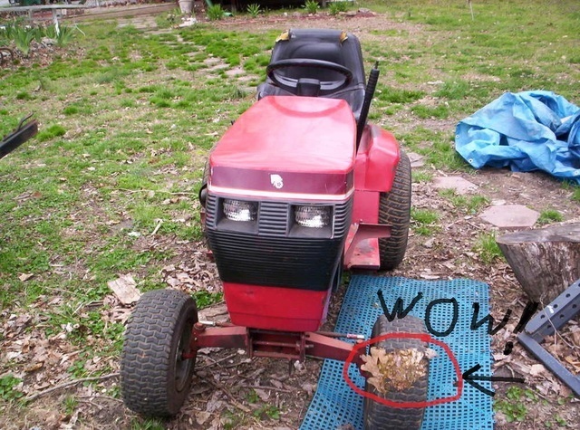 100_5990_thumb_JPG_4a901cd7e9a0ab9ffe822