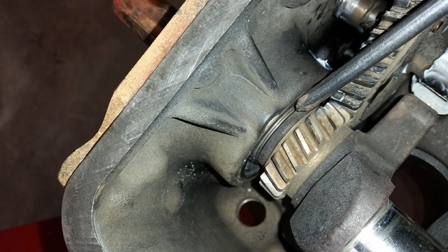 20160305_115159.thumb.jpg.e553da2c019fd5