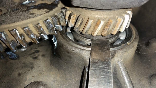 20160305_115601.thumb.jpg.efc811991efcd7