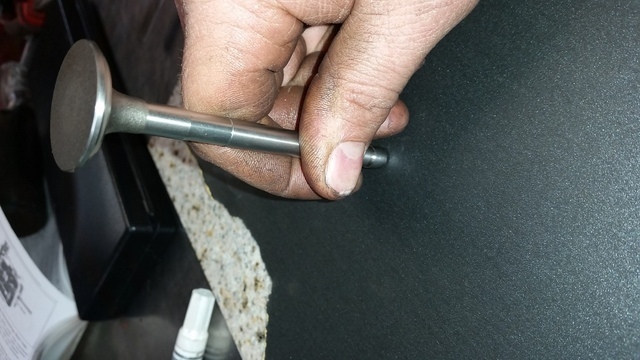 20160305_121420.thumb.jpg.afe7c14437b513