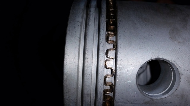 20160305_121859.thumb.jpg.73785a57242e00