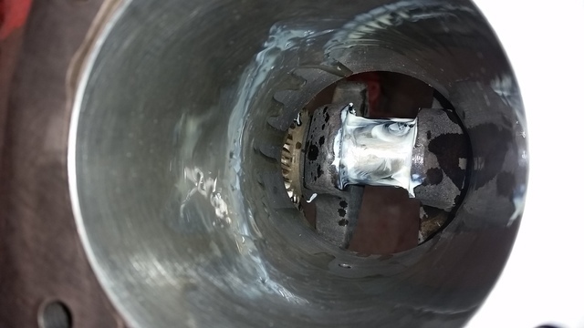 20160305_123744.thumb.jpg.10627027efc0bf