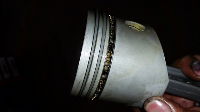 20160305_124041.thumb.jpg.6cfd3184ea1165