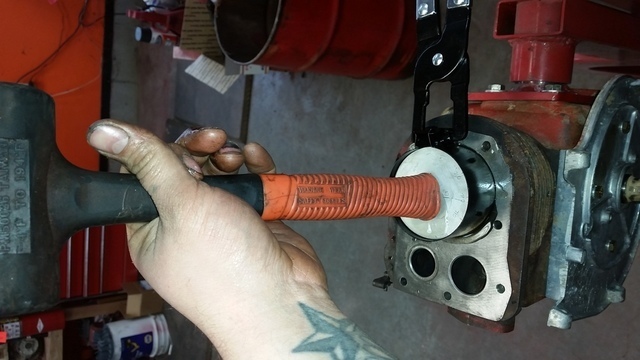 20160305_124214.thumb.jpg.f071d5adffe91b