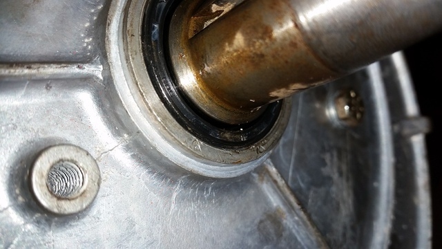 20160305_130857.thumb.jpg.49c8c60a568a40