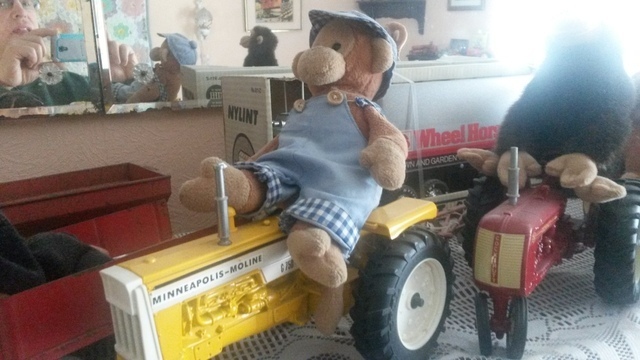 20160326_135620.thumb.jpg.11eee42015d479