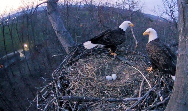 3-23-16.thumb.jpg.57cc3750dffd454707c677