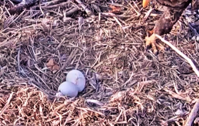 3-26-16.jpg.c877202c925a0da49f7c18af79f9