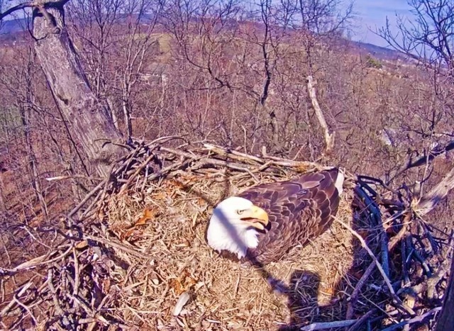 3-9-16.jpg.c9624c0b6a32d24d9f4eba762d6b1