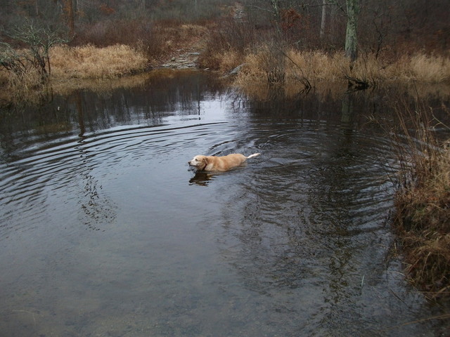 56edd55c6ee72_Dec27th027.thumb.JPG.f388f