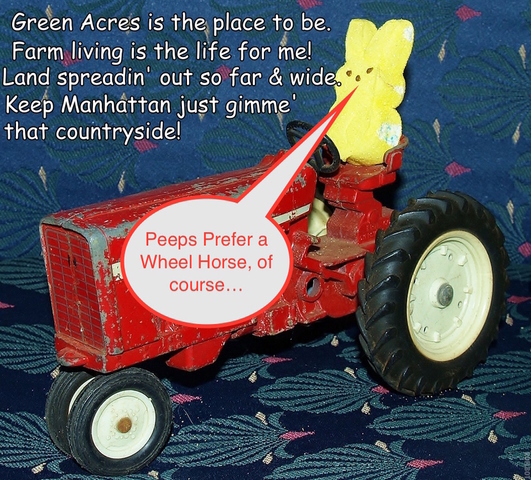 peep on tractor.jpg