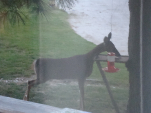 DSC04143.JPG.c7f8b65f2bb803028fb14686927