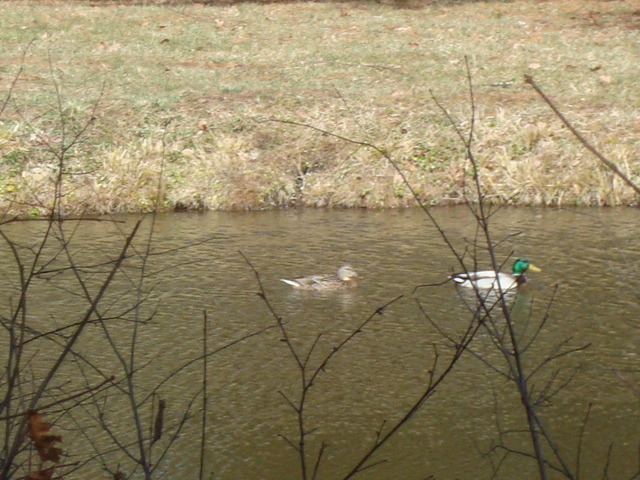 DSC04918.JPG.5db3bb5151b7c64e9a9d8b93c1c