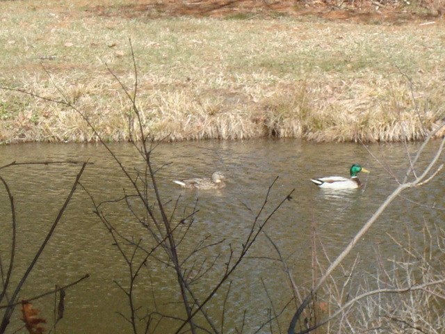 DSC04919.JPG.aeb878815d8a809bef8b1905437