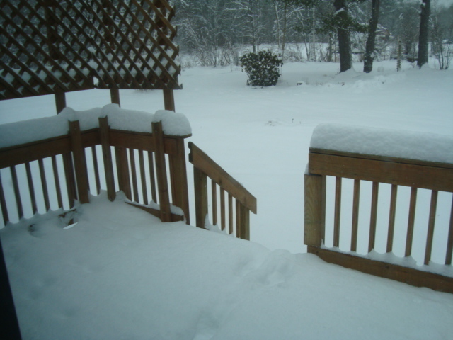 DSC04926.JPG.2ac9d7ec052fd47959ac956c029