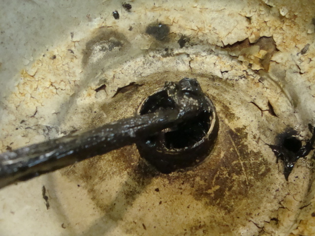 DSC04974.JPG.8c2ebbe1a2826627ecfe0a73b4a