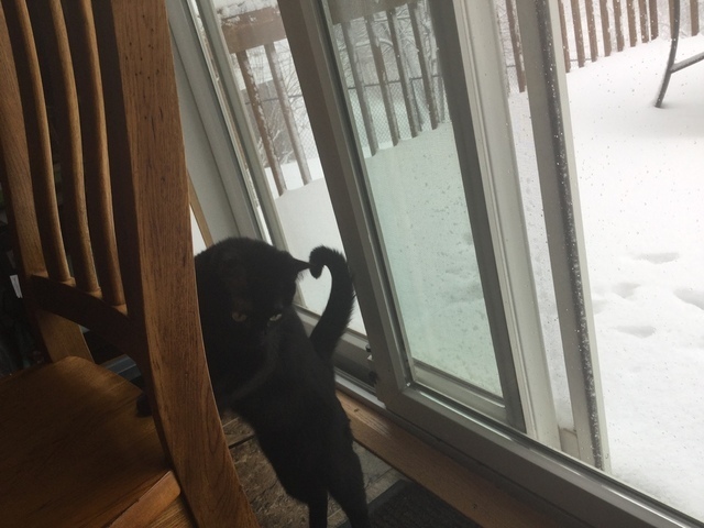 IMG_0205.thumb.JPG.e5d6f30ca7e4244082b5d